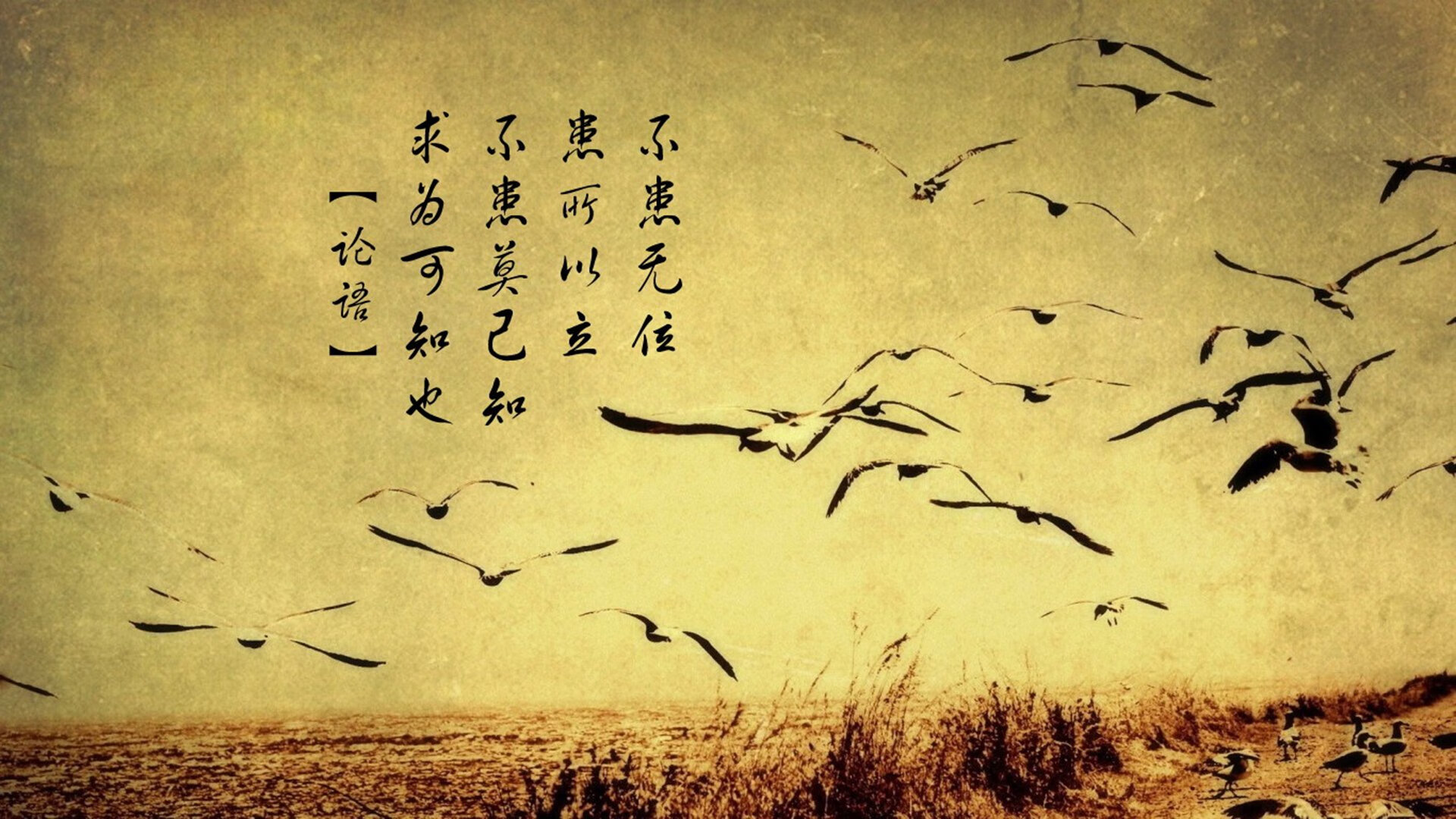 开云体育平台APP-绝境翻盘！伦纳德化身定海神针，辽宁惊天逆转国王