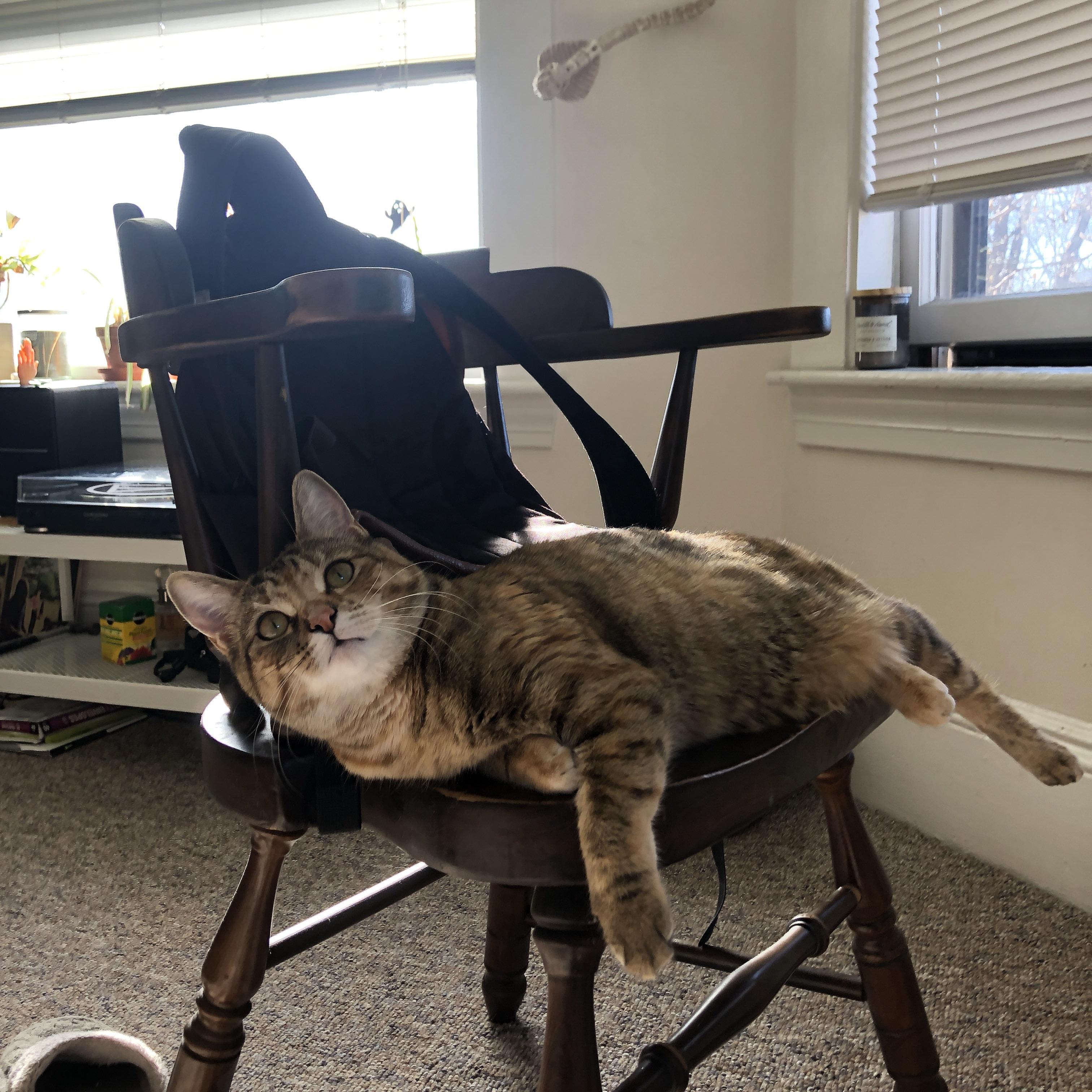 当雄鹿的箭矢划破撕裂之城，拉文在芝加哥街道完成双重赛道超车