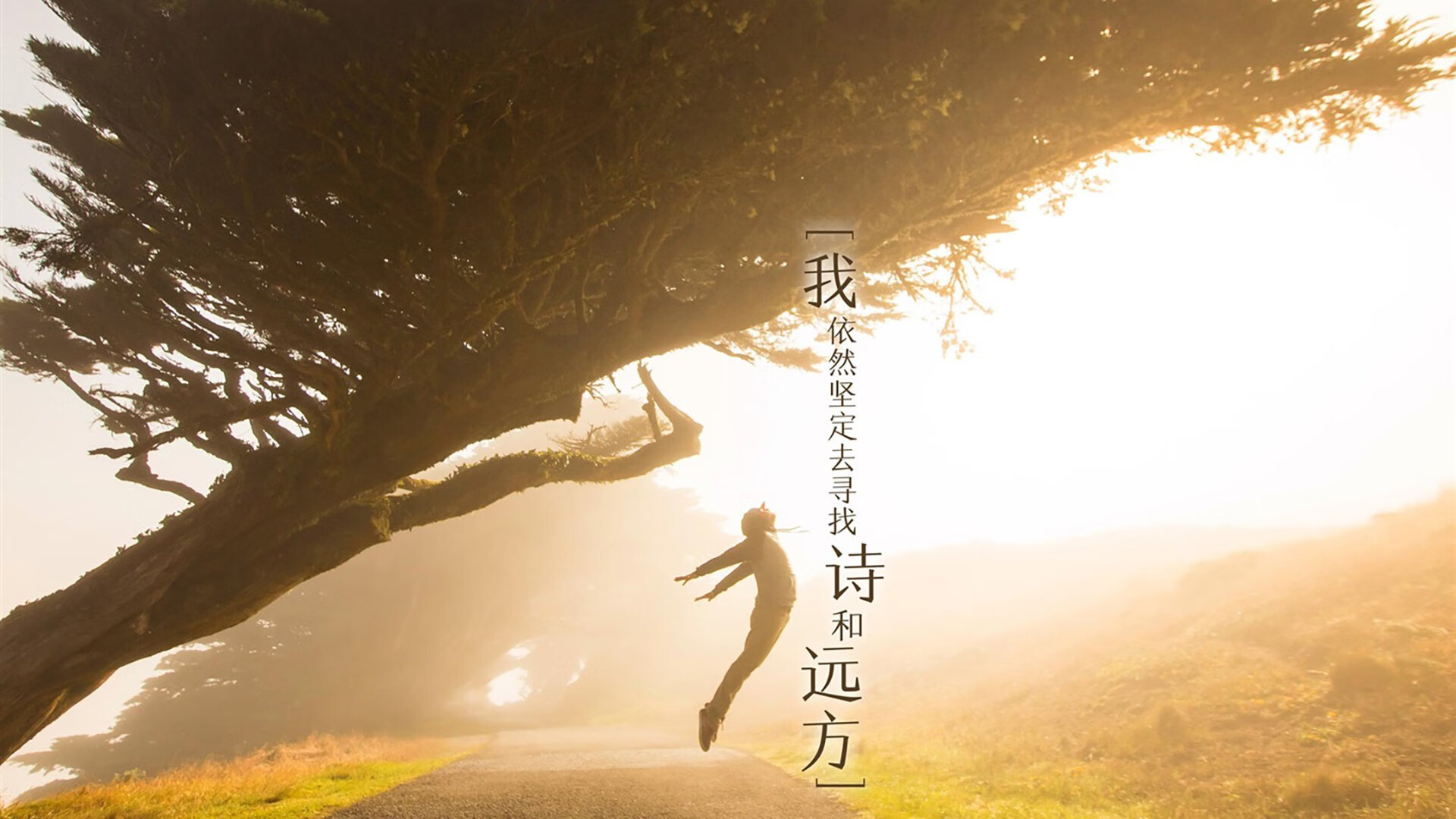 开云体育入口-贝恩临危受命三分如雨，黄蜂主场稳稳撕裂马刺防线