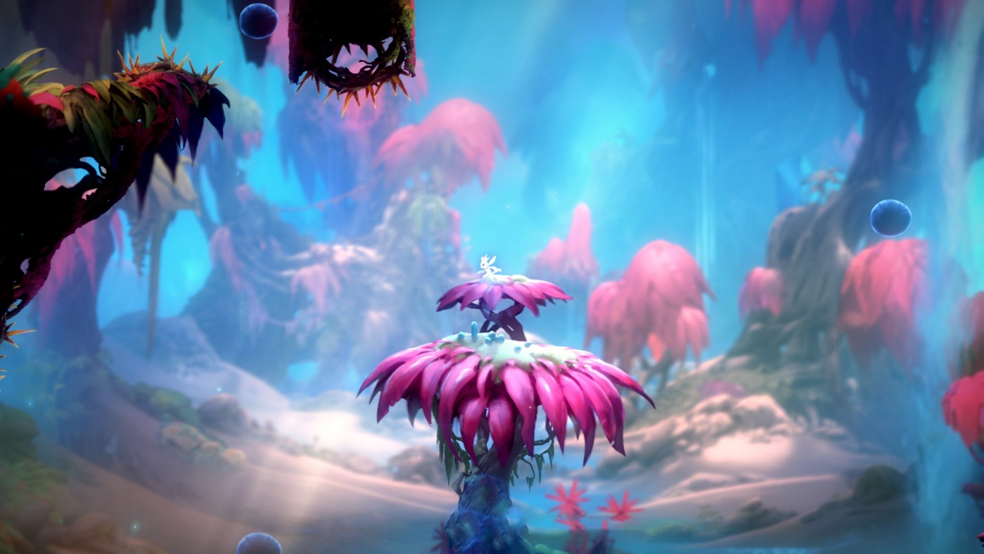 开云体育-舞台上的唯一性，雄鹿狂胜雷霆，布克定律照亮NBA的独特光芒