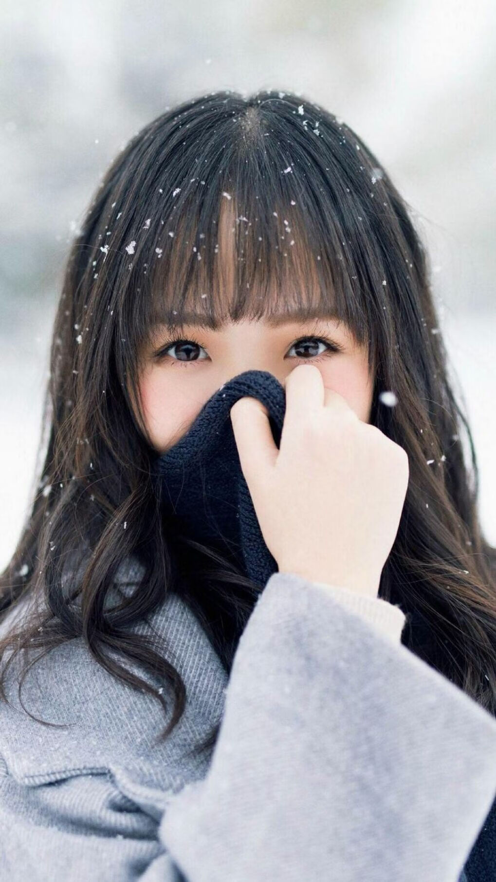 狼群踏风破荆棘，浓眉一柱定江山，森林狼客场力克公牛的胜利密码