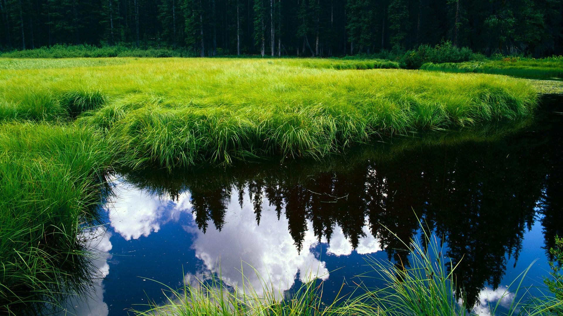 开云体育入口-一瞬辉煌与永恒基石,雄鹿的压哨绝杀与塔图姆的防守艺术