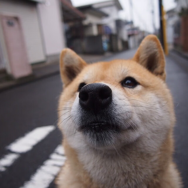 东决关键战之夜，神祇只在今夜将他的恩赐命名为蒂亚戈时间