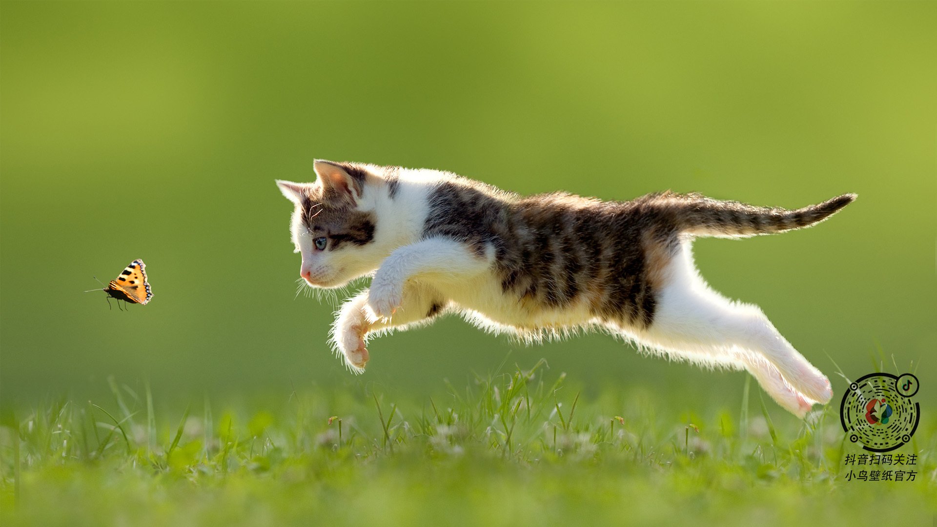 山西队VS老鹰队背后,马克西封神之夜,一通神秘来电改写赛后评分?