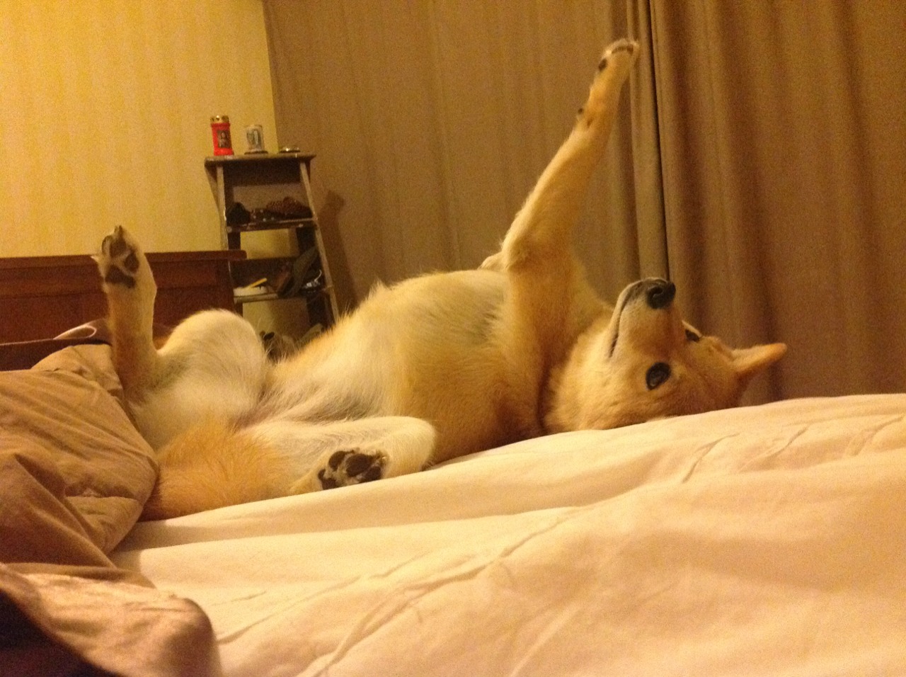 开云体育app-出埃及记,马拉卡纳之夜,内马尔以星辰引路