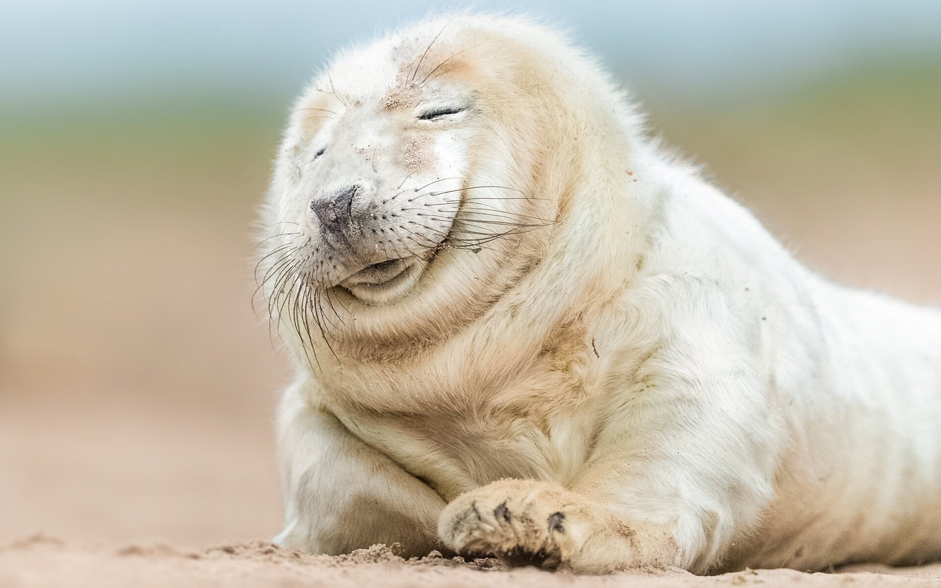 莫兰特式爆发的背后，湖人一场彰显冠军韧性的生死战取胜独行侠