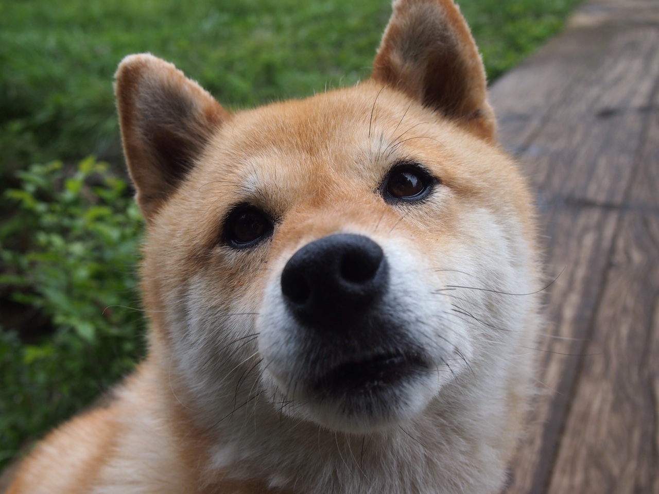 红牌与英雄，卡塞米罗从无名中场到尤文绝杀曼城的关键先生