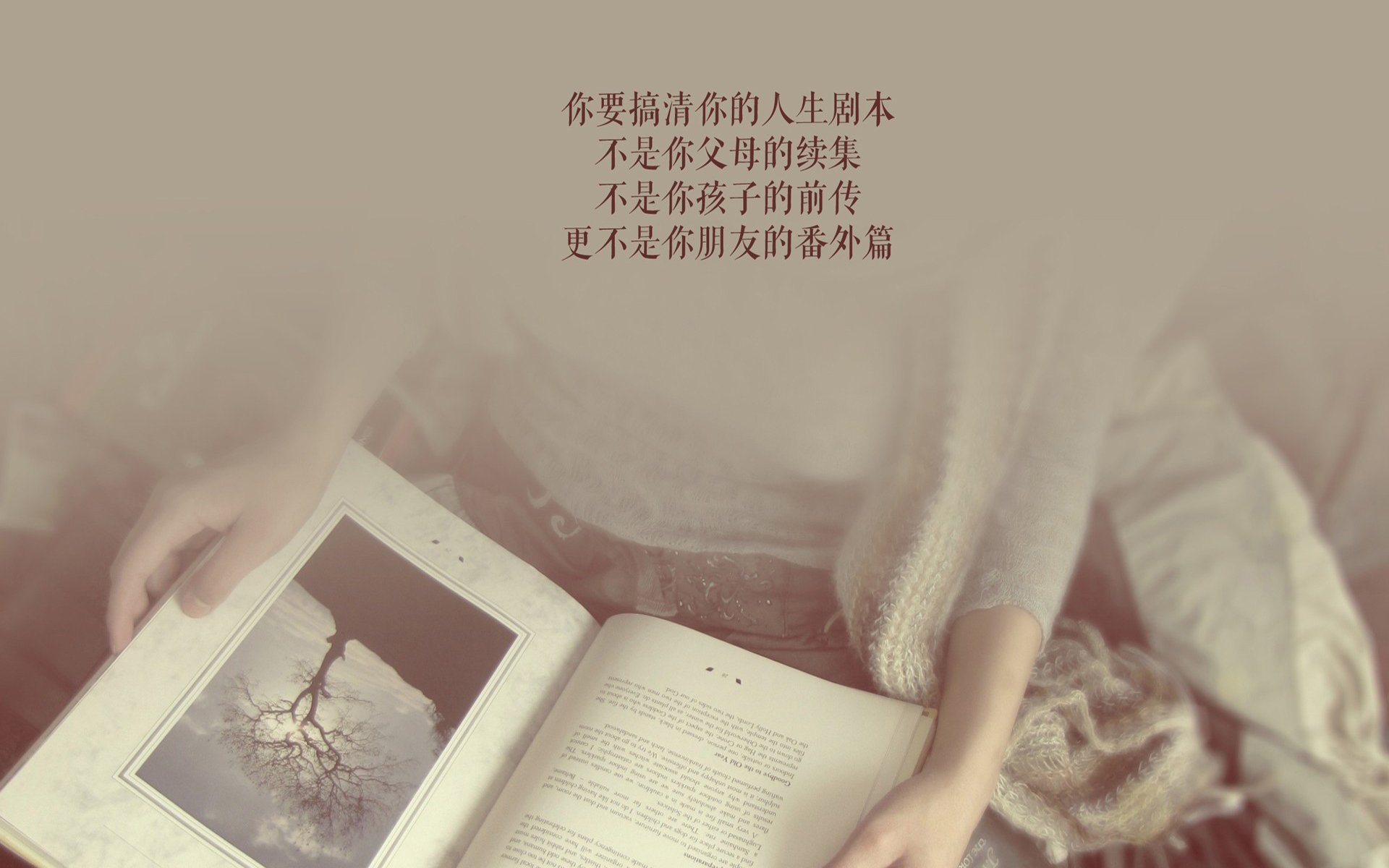开云平台-安菲尔德收割夜,当波兰的镰刀遇上卡马文加的缝合线,利物浦的唯一败局