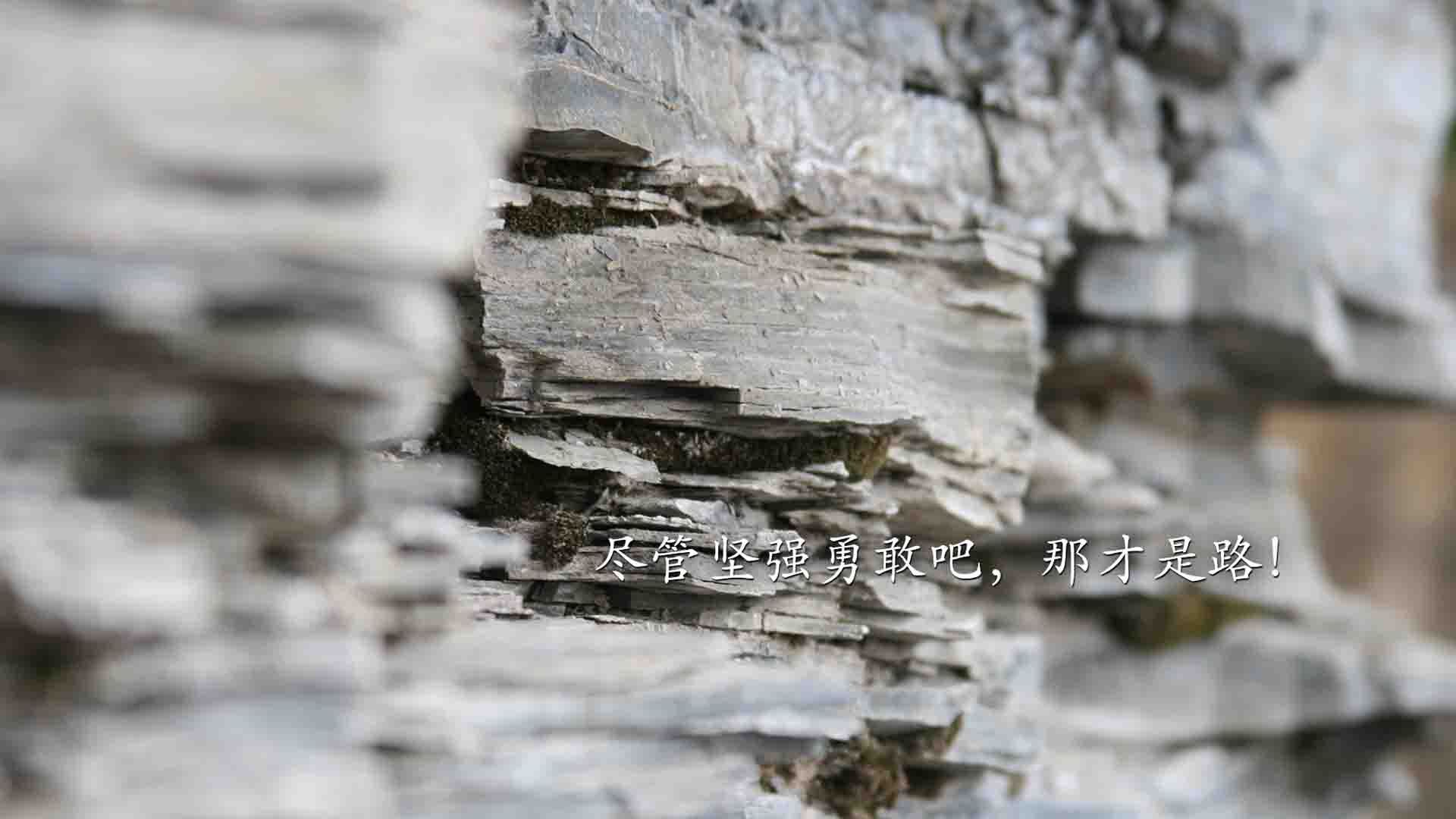 开云体育APP下载-天选之子，当罗德里戈的孤勇，刺破桑巴的黄昏