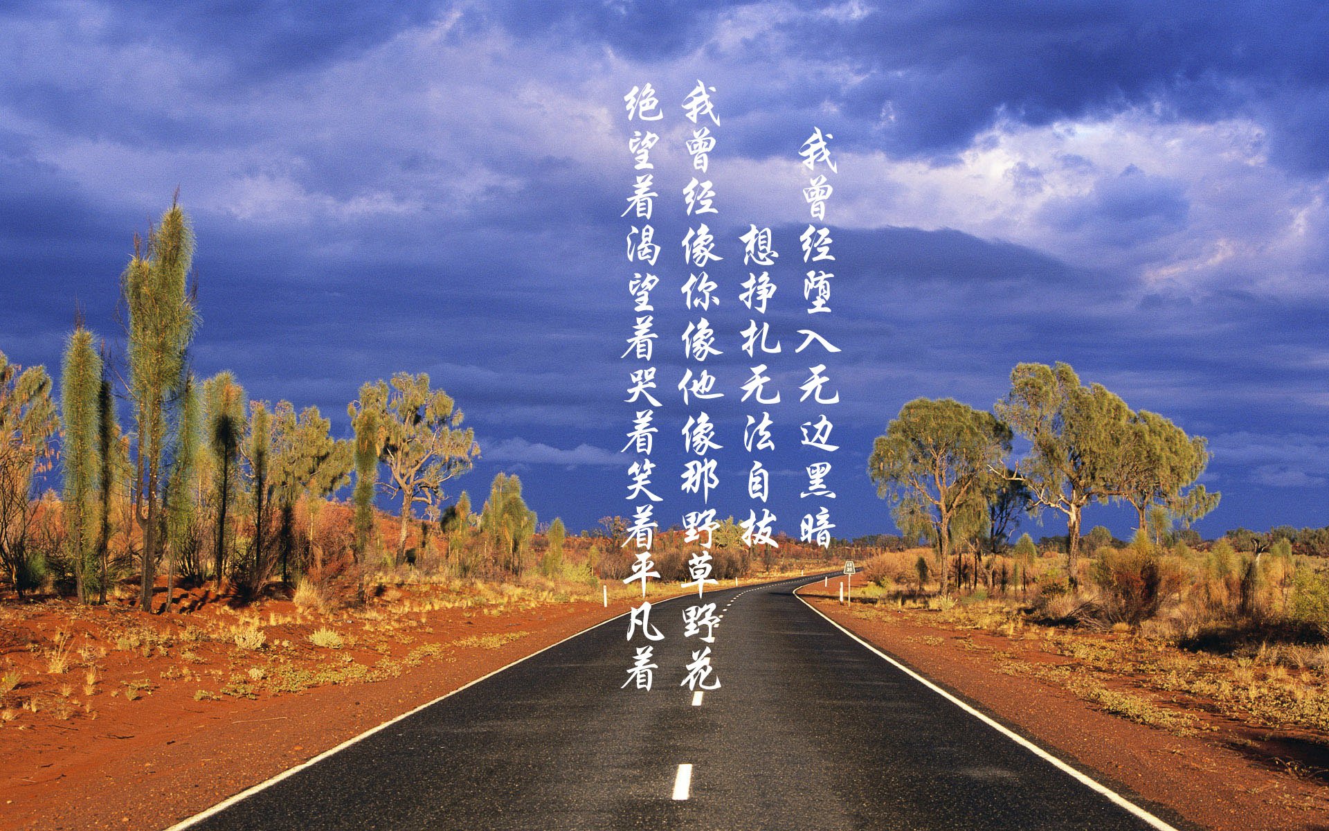 沙漠中的蓝白风暴，2026世界杯E组，格列兹曼导演乌兹别克斯坦vs阿根廷的宿命一役